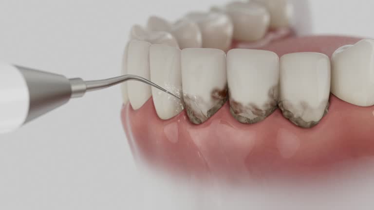 Reliable Dental contractor in Mont Alto, PA by Dentist Open Now